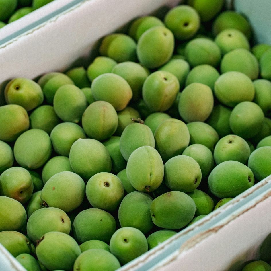 너 정말 '매실매실'하다